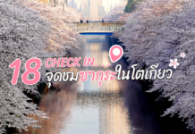 เช็คอิน 18 จุด ชมซากุระในโตเกียว