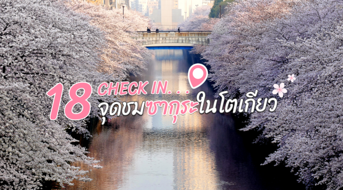 เช็คอิน 18 จุด ชมซากุระในโตเกียว