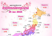 พยากรณ์ซากุระบาน อัพเดต 25 มกราคม 67 ของค่าย Weathermap (WM)