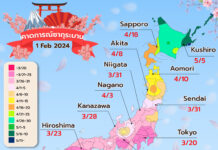 พยากรณ์ซากุระบาน อัพเดต 1 กุมภาพันธ์ 67 ของค่าย Weathernews (WN)