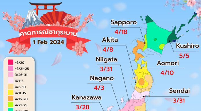 พยากรณ์ซากุระบาน อัพเดต 1 กุมภาพันธ์ 67 ของค่าย Weathernews (WN)