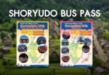 พาสรถบัสโชริวโด Shoryudo Bus Pass