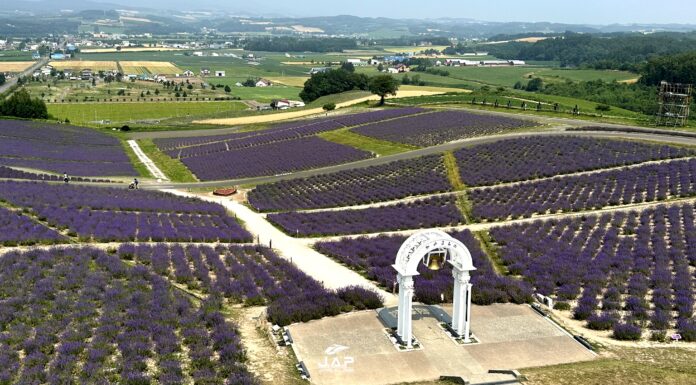 ลั่นระฆังแห่งรักที่ Hinode Park