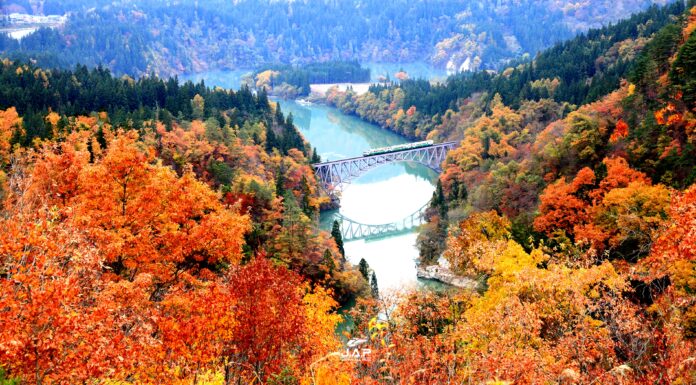 18 จุดชมใบไม้เปลี่ยนสีในฟุคุชิม่า