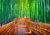 Bamboo Groves