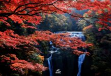 ความงดงามของน้ำตก Fukuroda ในฤดูใบไม้เปลี่ยนสี