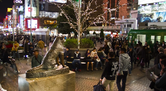 ฮาจิโกะ สแควร์ (Hachiko Square)