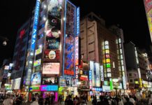 ย่านบันเทิงยามค่ำคืน คาบูกิโจ (Kabukicho)