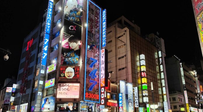 ย่านบันเทิงยามค่ำคืน คาบูกิโจ (Kabukicho)