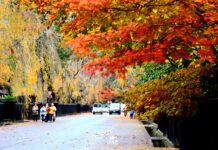 หมู่บ้านซามูไร Kakunodate ในฤดูใบไม้เปลี่ยนสี