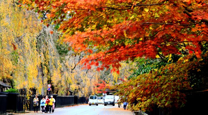 หมู่บ้านซามูไร Kakunodate ในฤดูใบไม้เปลี่ยนสี