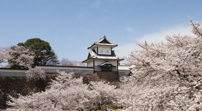 ปราสาทซานาคาวะ (Kanazawa Castle)