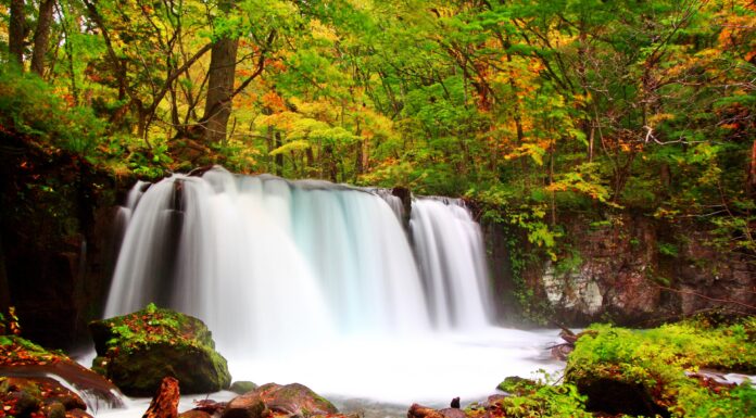 เส้นทางเดิน Oirase Stream (โอะอิระเสะ / 奥入瀬渓流)