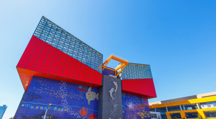 พิพิธภัณฑ์สัตว์น้ำโอซาก้าไคยูคัง (Osaka Aquarium Kaiyukan)