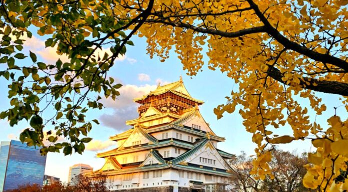 ปราสาทโอซาก้า (Osaka Castle)