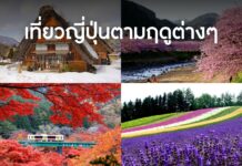 เที่ยวญี่ปุ่นตามฤดูต่างๆ