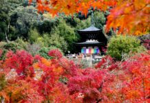 EIKAN-DO วิหารแห่งใบเมเปิ้ล