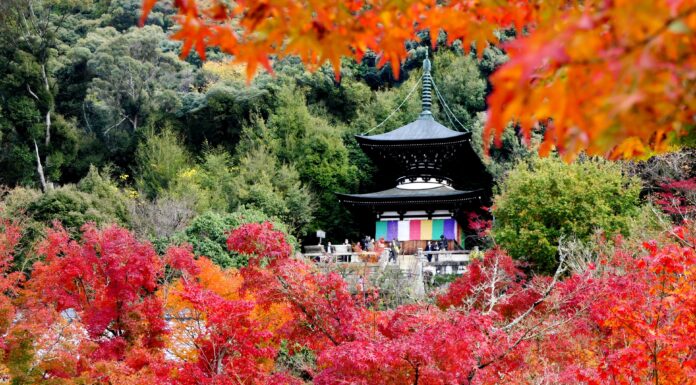 EIKAN-DO วิหารแห่งใบเมเปิ้ล