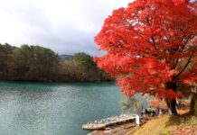 ใบไม้เปลี่ยนสี บึงน้ำ 5 สี Goshikinuma