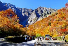 ใบไม้เปลี่ยนสีโตรกผา Ichinokurasawa