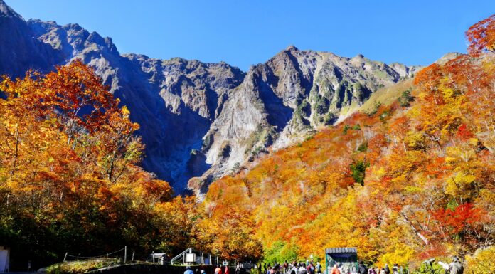 ใบไม้เปลี่ยนสีโตรกผา Ichinokurasawa