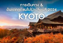 วิธีการเดินทางไปเกียวโต และอัพเดทจุดชมใบไม้เปลี่ยนสี 2024