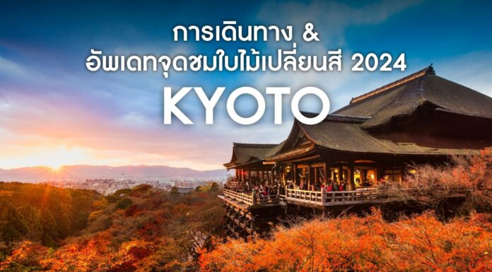 วิธีการเดินทางไปเกียวโต และอัพเดทจุดชมใบไม้เปลี่ยนสี 2024