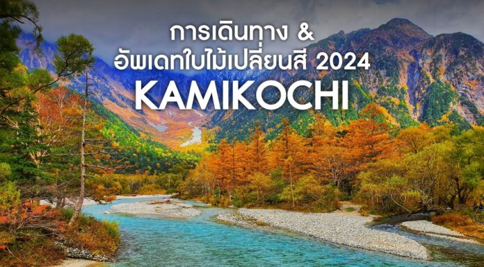 วิธีการเดินทางไปคามิโคจิ และอัพเดทชมใบไม้เปลี่ยนสี 2024