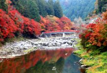 Korankei สุดยอดความงามใบไม้เปลี่ยนสี