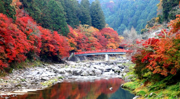 Korankei สุดยอดความงามใบไม้เปลี่ยนสี