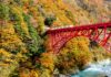 ใบไม้เปลี่ยนสีหุบเขา Kurobe Gorge