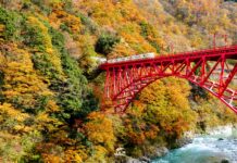 ใบไม้เปลี่ยนสีหุบเขา Kurobe Gorge