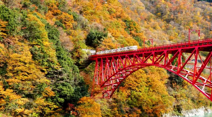 ใบไม้เปลี่ยนสีหุบเขา Kurobe Gorge