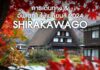 ใบไม้เปลี่ยนสีหมู่บ้านมรดกโลก Shirakawago