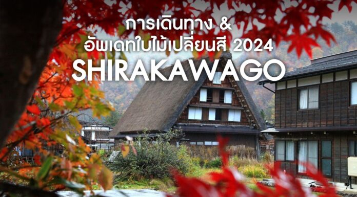 ใบไม้เปลี่ยนสีหมู่บ้านมรดกโลก Shirakawago