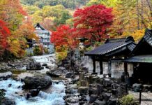 ใบไม้เปลี่ยนสี Takaragawa Onsen