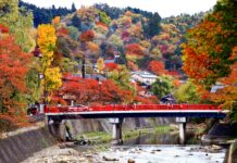 ใบไม้เปลี่ยนสีเมือง Takayama