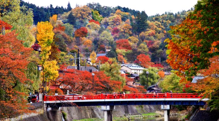 ใบไม้เปลี่ยนสีเมือง Takayama