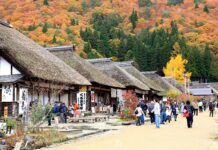 ใบไม้เปลี่ยนสีหมู่บ้านโบราณ Ouchijuku