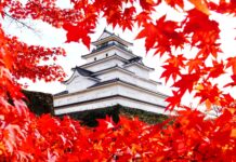 ใบไม้เปลี่ยนสีปราสาทนกกระเรียน Tsuruga-jo