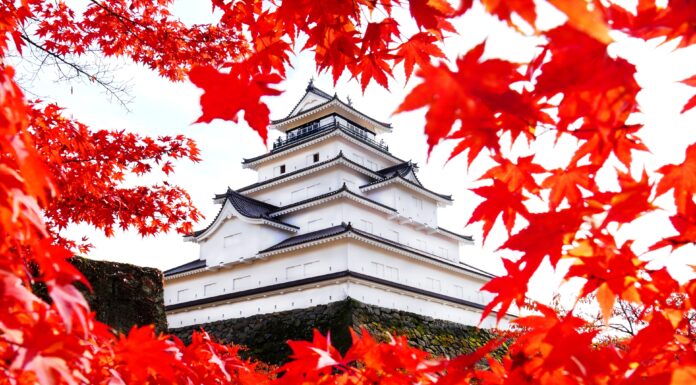 ใบไม้เปลี่ยนสีปราสาทนกกระเรียน Tsuruga-jo