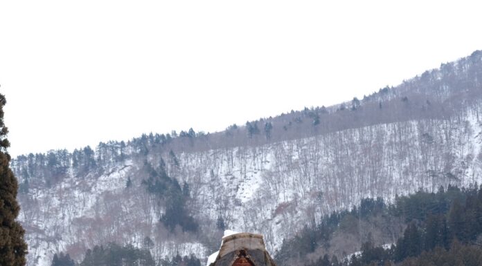ชิราคาวาโกะ(Shirakawa-Go) หมู่บ้านโบราณกลางหุบเขา เที่ยวด้วยตัวเอง เดินทางง่ายด้วยระบบขนส่งสาธารณะ