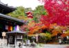 ใบไม้เปลี่ยนสี Imakumano Kannon-ji