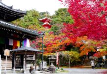 ใบไม้เปลี่ยนสี Imakumano Kannon-ji