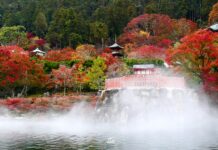 ใบไม้เปลี่ยนสีวัด Katsuo-ji