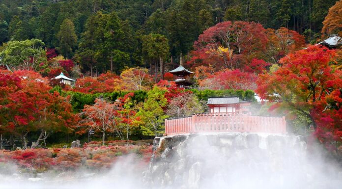 ใบไม้เปลี่ยนสีวัด Katsuo-ji