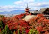 ใบไม้เปลี่ยนสีวัดน้ำใส Kiyomizu-dera