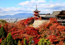 ใบไม้เปลี่ยนสีวัดน้ำใส Kiyomizu-dera