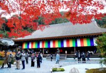 ใบไม้เปลี่ยนสีวัดนิซอนอิน (Nison-in)