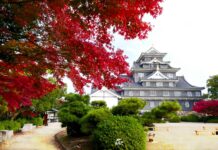 ใบไม้เปลี่ยนสีปราสาท Okayama